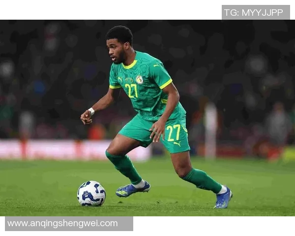 突尼斯与马里足球对决专家深度分析及胜负预测