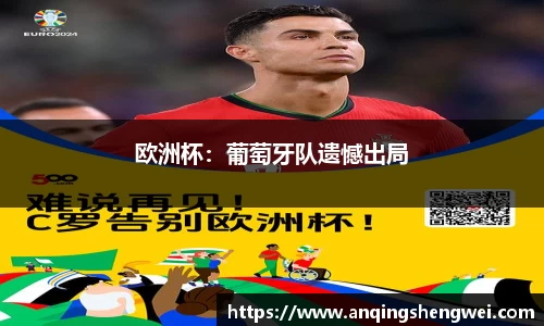 欧洲杯：葡萄牙队遗憾出局