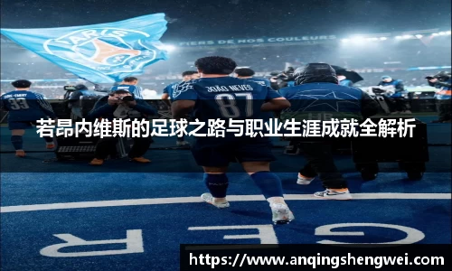若昂内维斯的足球之路与职业生涯成就全解析